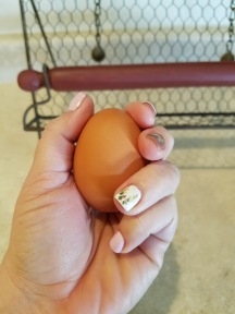 solo-egg